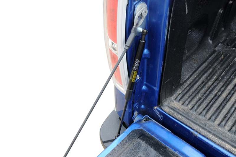 Dee Zee 04-14 Ford F150 Tailgate Assist Shock - Image 3